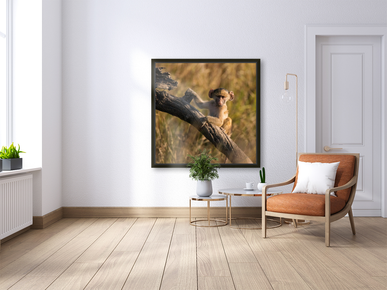 1187 - Young baboon Reproduction