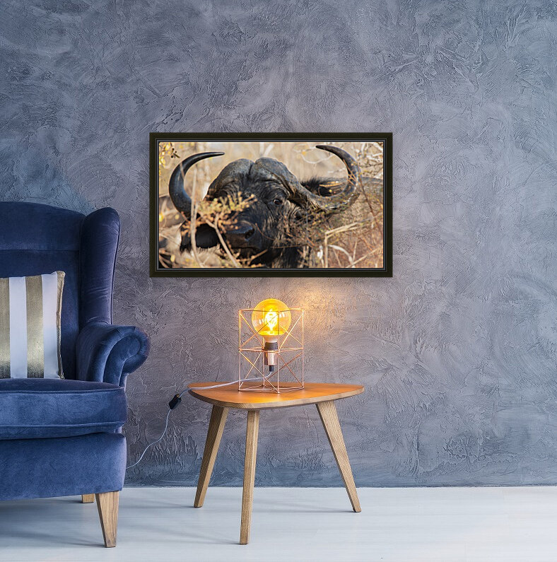 1194 - Buffalo Reproduction