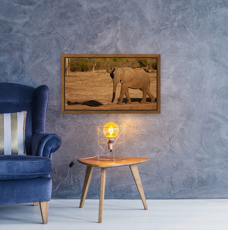 1182 - Elephant  Reproduction