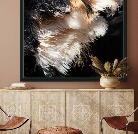 1141 - Ostrich feather by Claude Riou