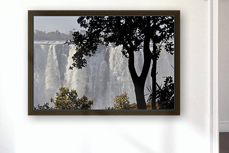 1179 - Victoria falls  by Claude Riou