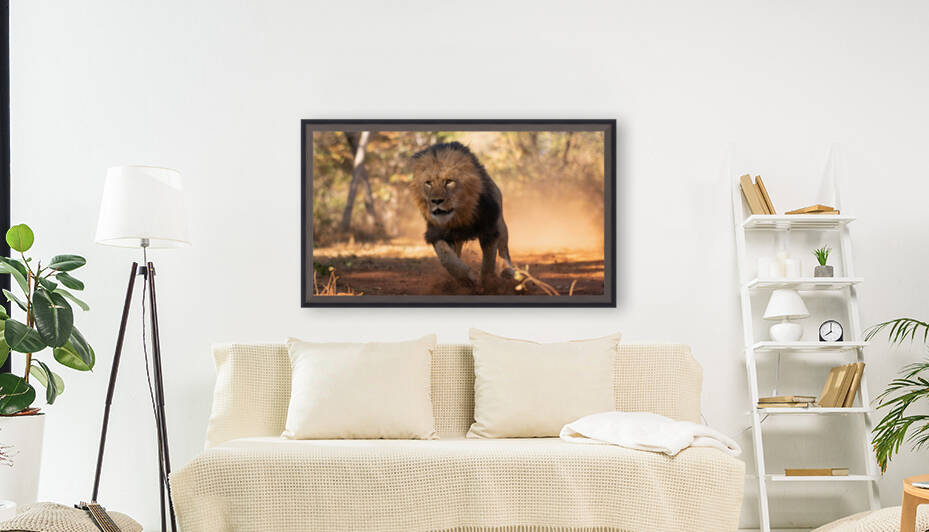 1158 - Running lion Reproduction