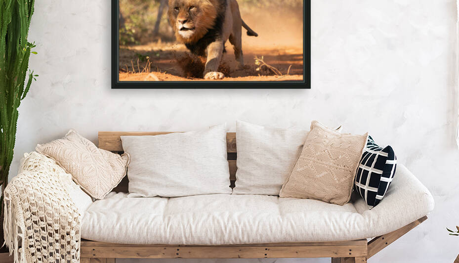1160 - Running lion  Reproduction