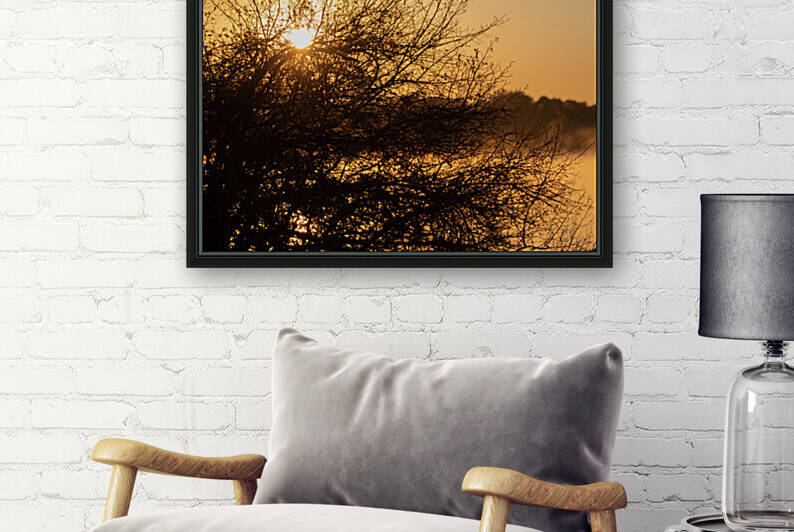 1165 - Sunrise on zambezi river by Claude Riou