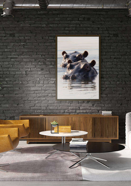 1176 - Hippopotamus by Claude Riou