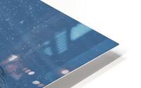 1170 - Bath time HD Metal print