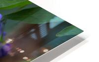 1178 - Flower  HD Metal print