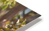 1611 - Relax HD Metal print