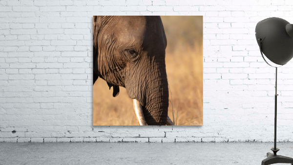 1118 - Elephants  Wall Preview