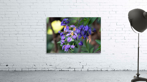 1178 - Flower  Wall Preview