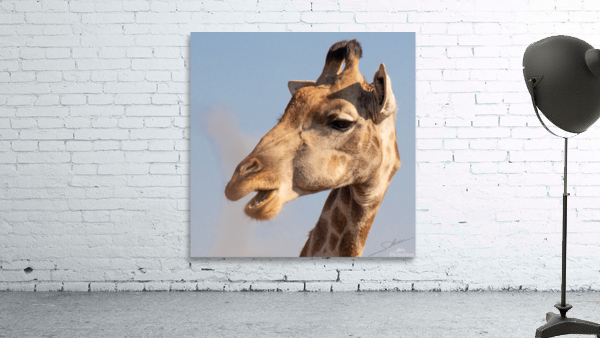 1161 - Giraffe  Wall Preview