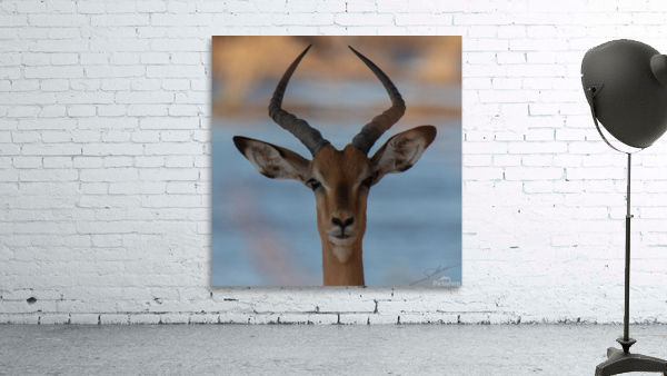 1153 - Impala Wall Preview