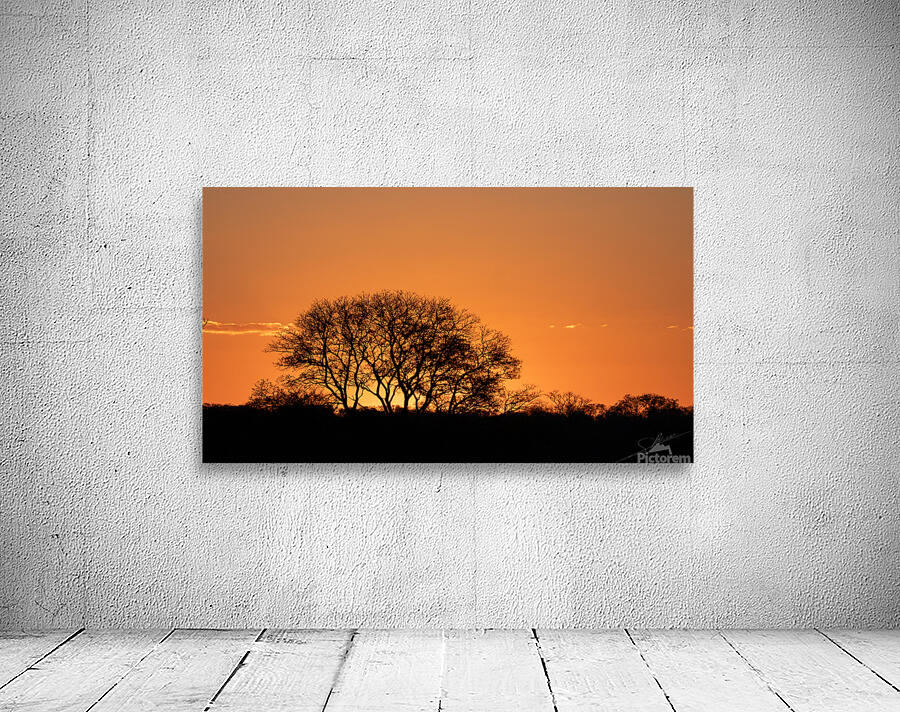 1145 - Sunset  Wall Preview