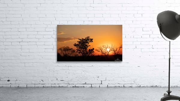 1147 - Sunset  Wall Preview
