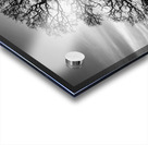 Timeless Strength Monochrome - Lone oak in the Sacramento Riverbend Area - Tehama County California Acrylic print