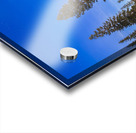 Moonlit Sentinel - Long Lake - Lassen County California nightscape Acrylic print