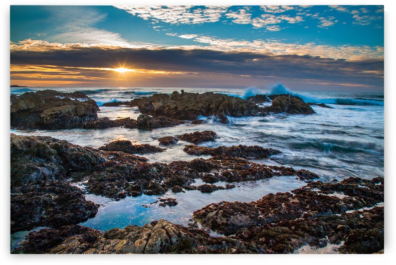 Asilomar Sunset by Mike Lee