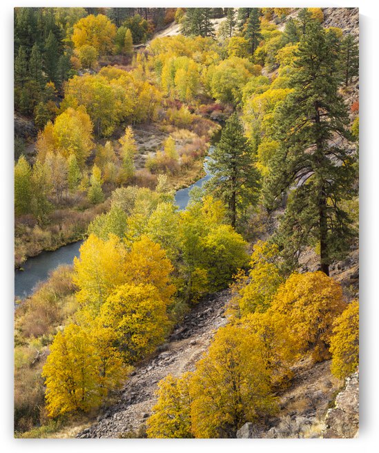 Susanville Canyon Autumn Vista by Mike Lee
