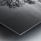 Timeless Strength Monochrome - Lone oak in the Sacramento Riverbend Area - Tehama County California Metal print