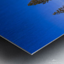 Moonlit Sentinel - Long Lake - Lassen County California nightscape Metal print