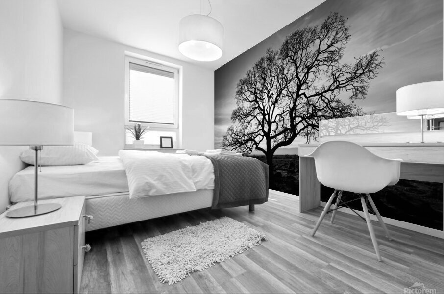 Timeless Strength Monochrome - Lone oak in the Sacramento Riverbend Area - Tehama County California Mural print