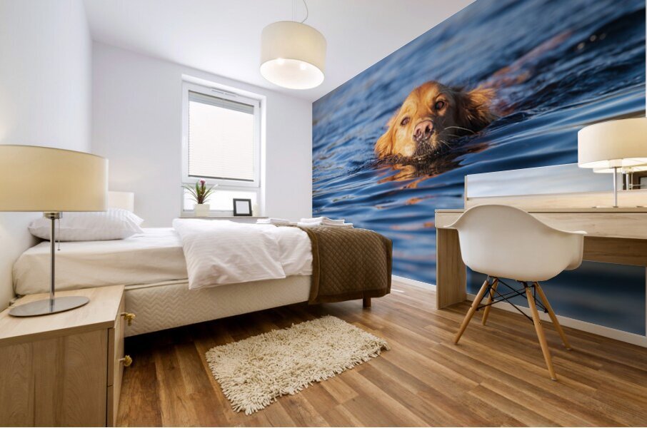 Swimming Golden Mural print