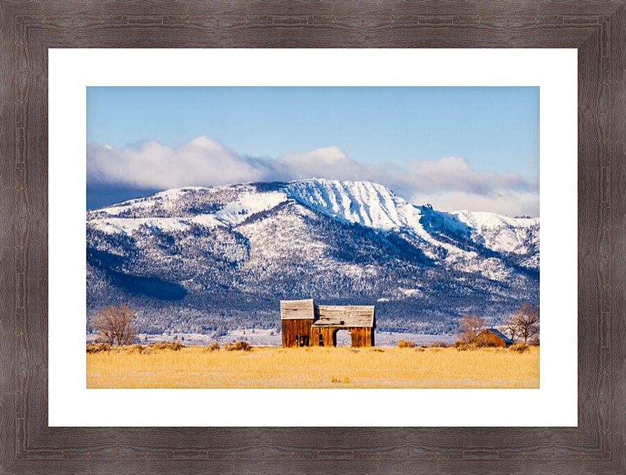 Frosty and Weathered - Barn and Thompson Peak in Lassen County California Picture Frame print