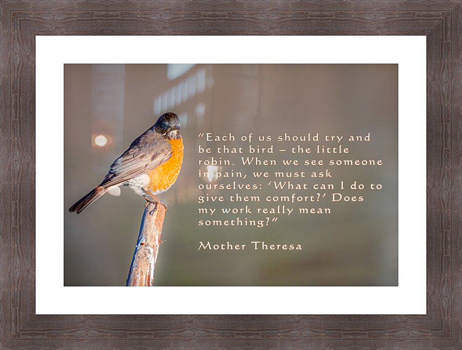 Be The Robin Picture Frame print