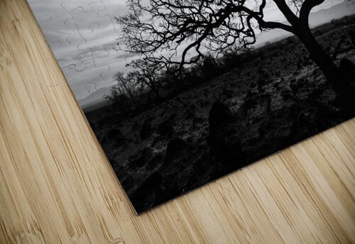 Timeless Strength Monochrome - Lone oak in the Sacramento Riverbend Area - Tehama County California Mike Lee puzzle