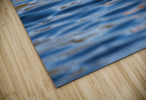 Swimming Golden Mike Lee puzzle