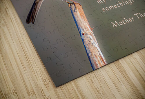 Be The Robin Mike Lee puzzle