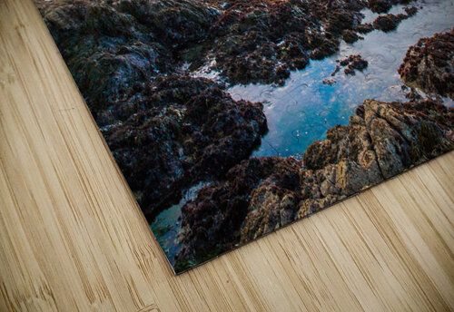 Asilomar Sunset Mike Lee puzzle