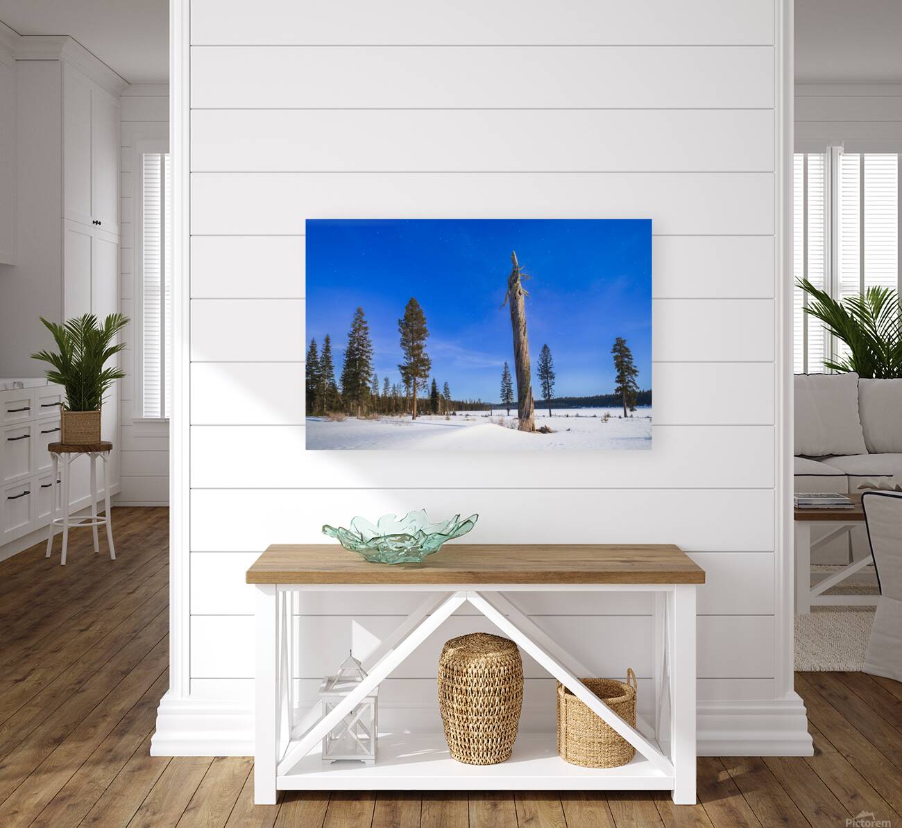 Moonlit Sentinel - Long Lake - Lassen County California nightscape Reproduction