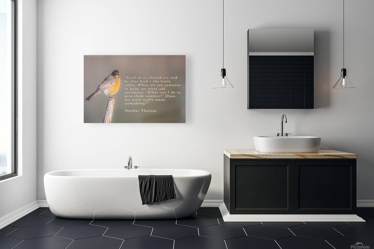 Be The Robin Reproduction