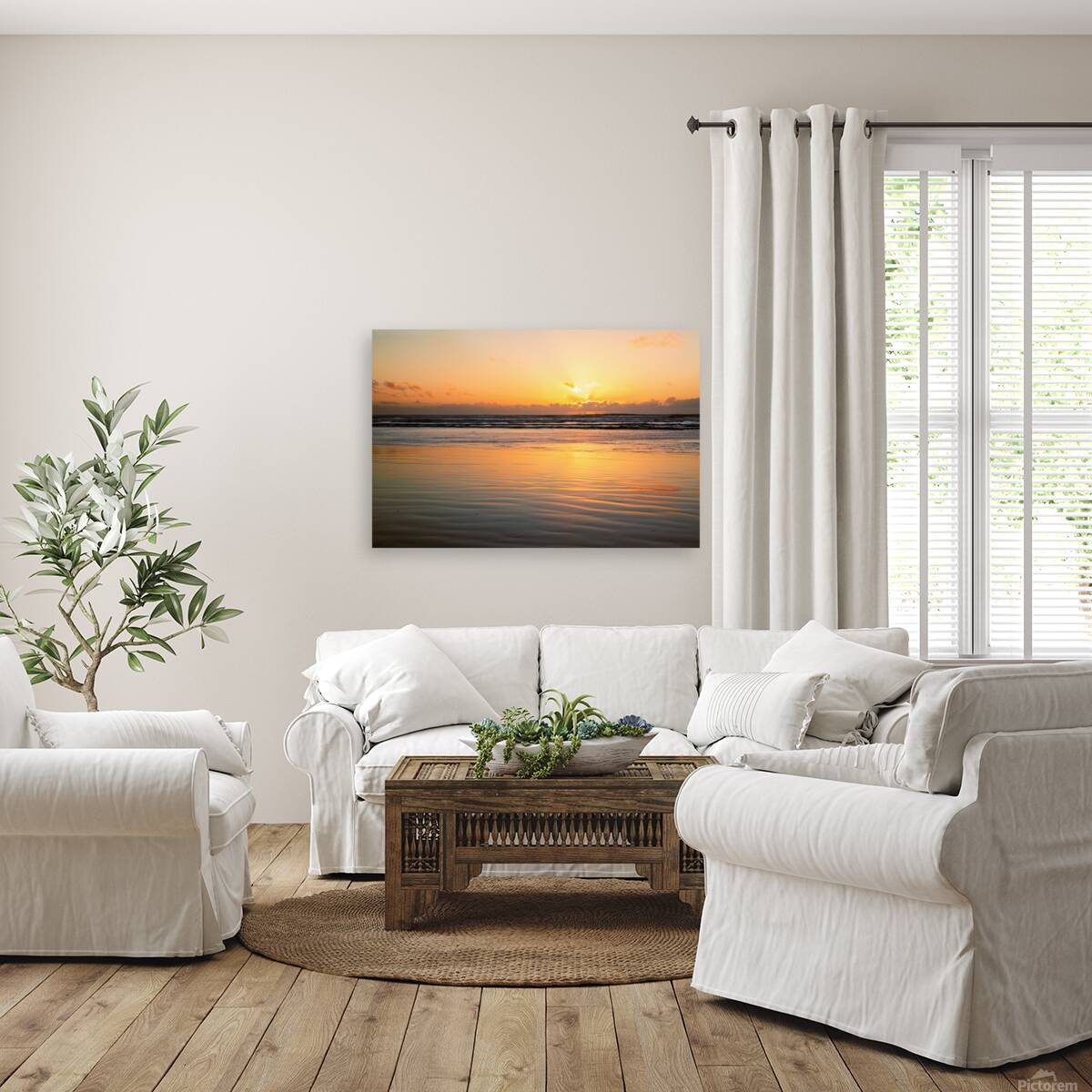 Sun and Sand Reproduction