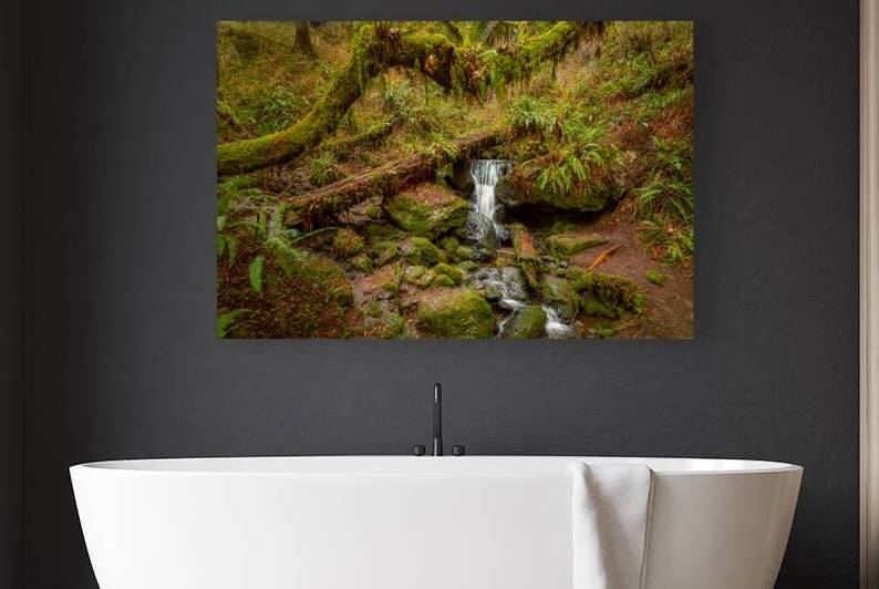 Trillium Falls - Orick - Humboldt County California by Mike Lee