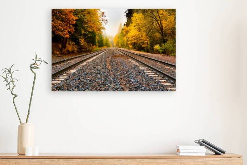 Misty Autumn Rails - Shasta County California near Soda Creek - Castella by Mike Lee