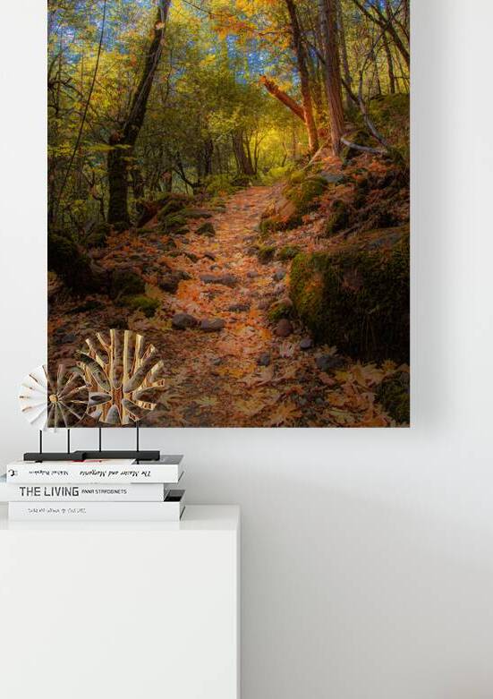 Autumn on the Trail - Deer Creek Trail - Tehama County California by Mike Lee