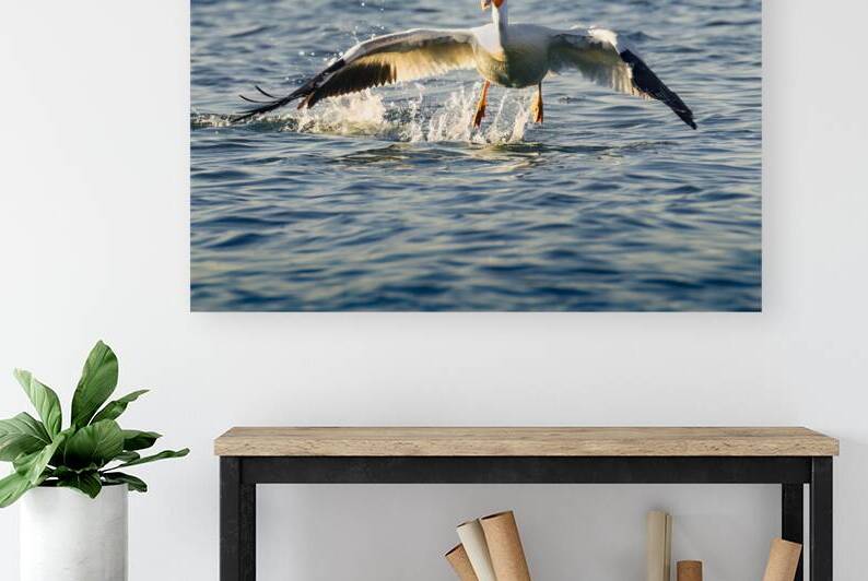 Golden Hour Lift Off - White Pelican at Eagle Lake - Susanville - Lassen County California by Mike Lee