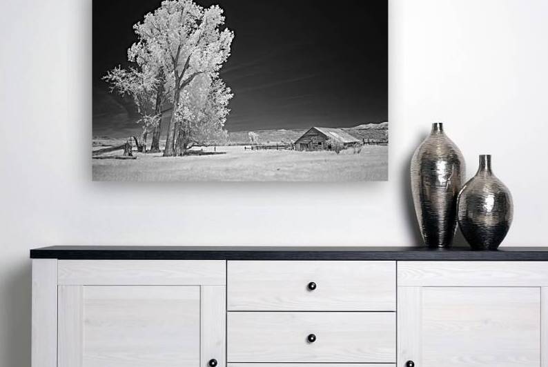 Likely California Barn and Trees - Modoc County California - infrared by Mike Lee