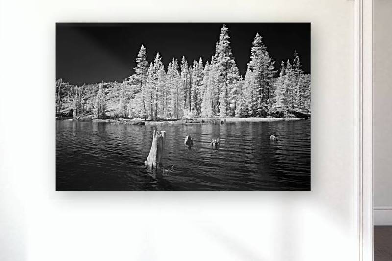 Salmon Lake - Sierra County California - Infrared by Mike Lee