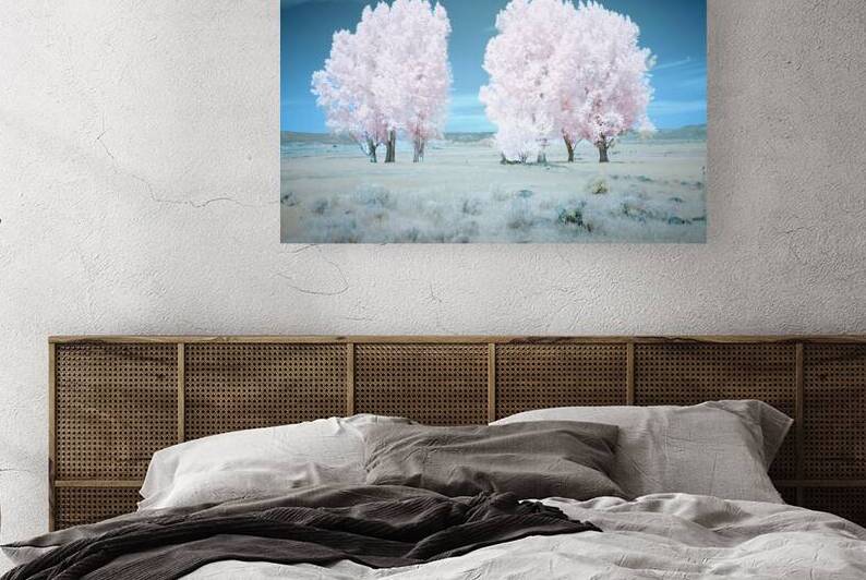 Cotton Candy Cottonwoods - Likely - Modoc County California - Infrared false color by Mike Lee