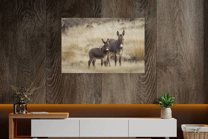 Smoke Creek Jenny and Foal - Lassen County California near the Nevada Line by Mike Lee