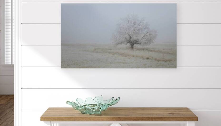 Seclusion - Minimalistic frost covered tree - Lassen County California by Mike Lee