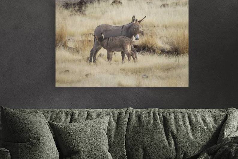 Lunch Time - Jenny and foal in the Smoke Creek Desert - Lassen County California by Mike Lee