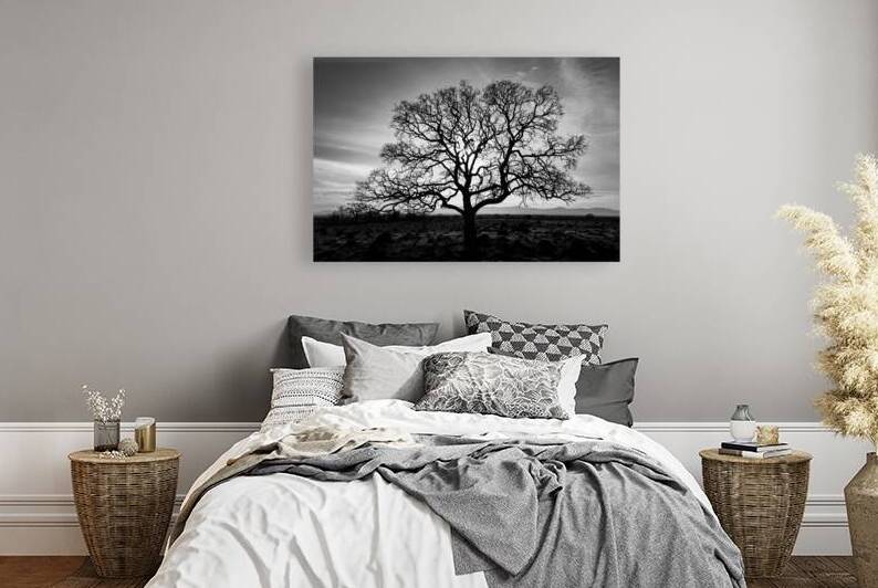 Timeless Strength Monochrome - Lone oak in the Sacramento Riverbend Area - Tehama County California by Mike Lee