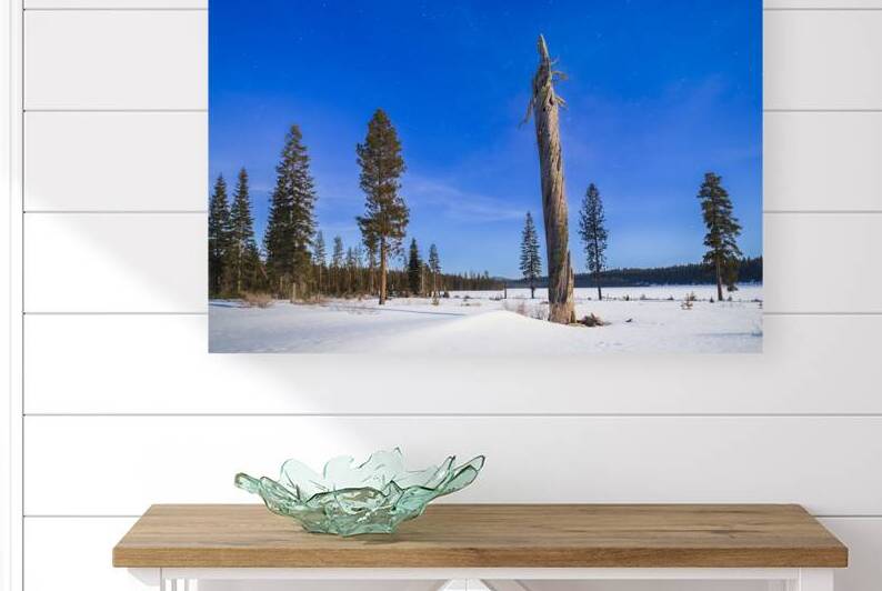 Moonlit Sentinel - Long Lake - Lassen County California nightscape by Mike Lee