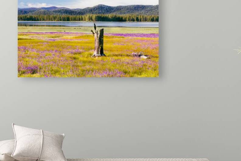 Lupines and Weathered Stump - Hog Flat - Lassen County California by Mike Lee