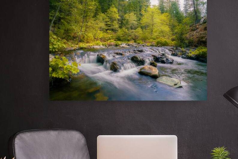 Spring on Squaw Valley Creek - Siskiyou County California by Mike Lee