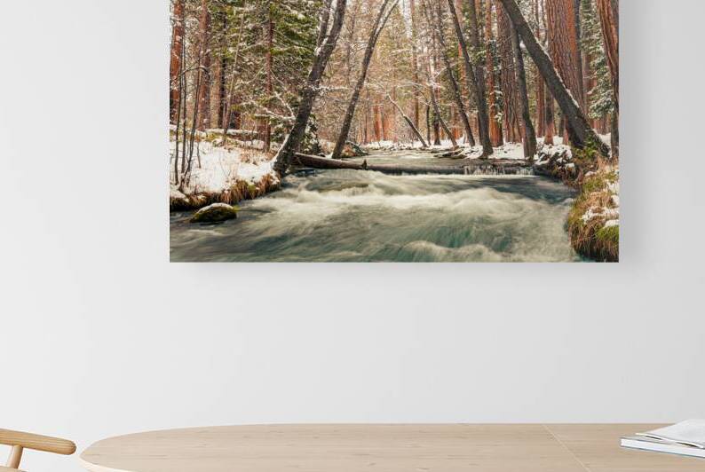Hat Creek Winter Wonderland - Shasta County California by Mike Lee